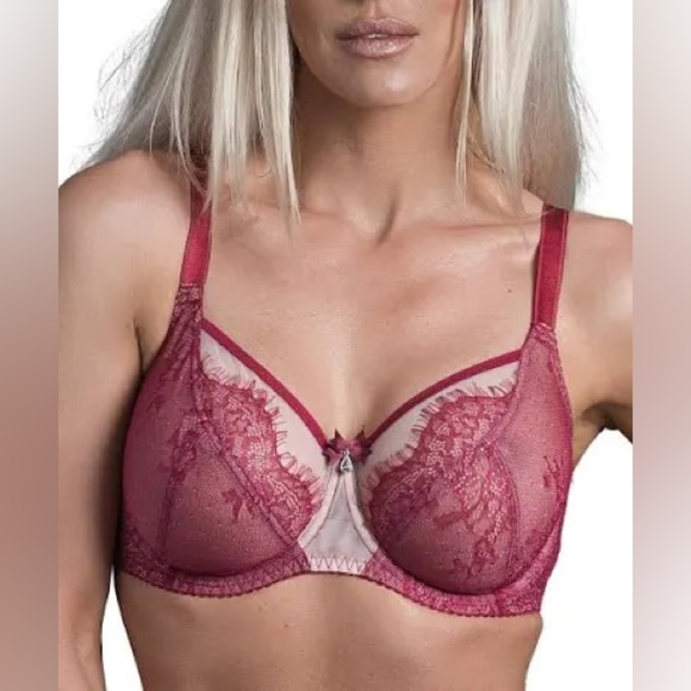 NWT Fit Fully Yours ava see thru lace full bra deep red